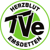  TV Emsdetten